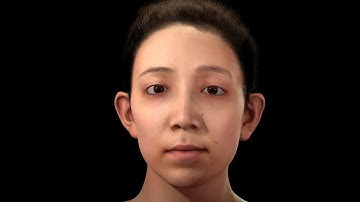 Facial Setup Overview | WRAP FACS Facial Rig Demo