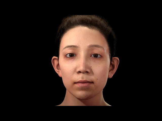 Facial Setup Overview | WRAP FACS Facial Rig Demo