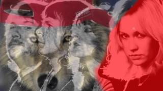 Обложка ABBA That S Me Скачать ABBA That S Me
