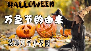 【Halloween】万圣节的由来 The origin of Halloween｜Decorating the Halloween garden with Temu accessories by 袭小厨和她的菜园子Delightful Garden 1,769 views 6 months ago 5 minutes, 11 seconds