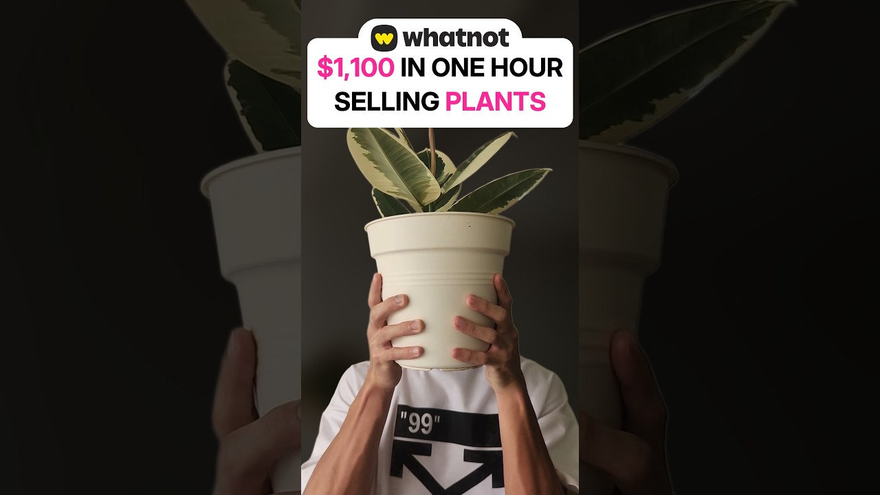 How a plant shop sold $1,100 in one hour on Whatnot