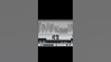 Retro Cheating :D #NinjaRyukenden #GameBoy #Nintendo #GB #Nintendo64 #N64 #CheatCodes #Retro #Gaming