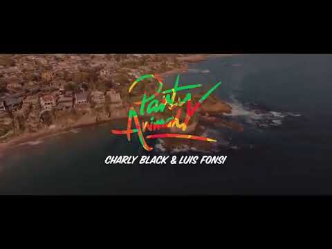 Charly Black, Luis Fonsi - Party Animal