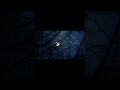 El monte de las ánimas de Bécquer: La noche de difuntos #shorts leyendas