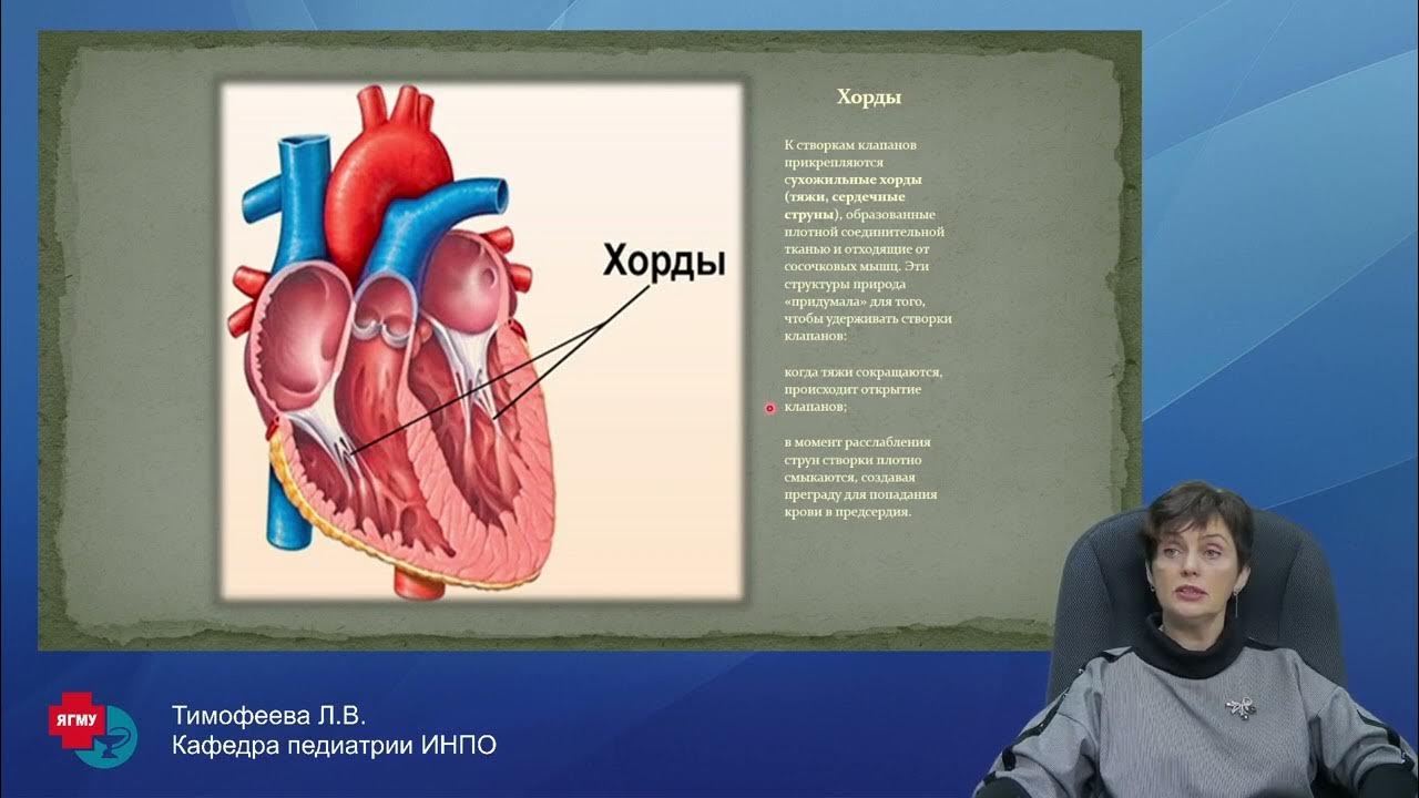 Хорда мкб. Аномалии развития сердца. доп хорда левого желудочка мкб 10.