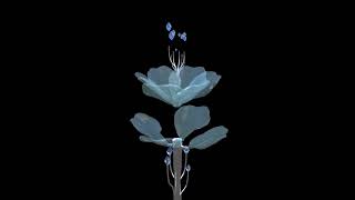 Representation 3 - Exploded Axon Animation