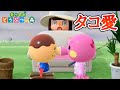 【あつ森】タコヤとタコリーナに密着！！タコンビ可愛すぎ！！！【あつまれどうぶつの森】