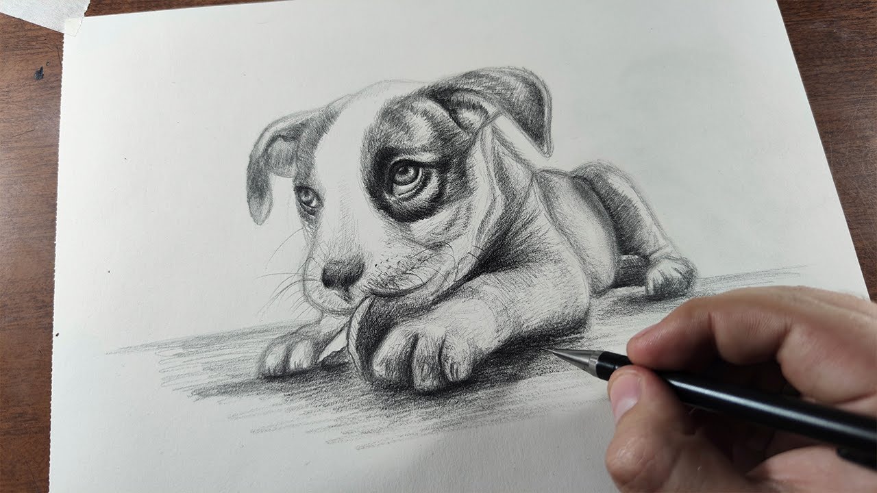 Featured image of post Dog Drawing Realistic Cute - Download this free vector about hand drawn realistic dog breeds, and discover more than 11 million professional graphic resources on freepik.