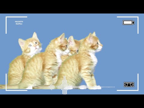 რჩეული ამბები კატოსგან N4