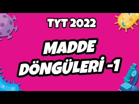 TYT Biyoloji - Madde Döngüleri -1 | TYT Biyoloji 2022 #hedefekoş