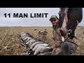 Wood Ducks In a Corn Field Plus an 11 Man Limit of Honkers!