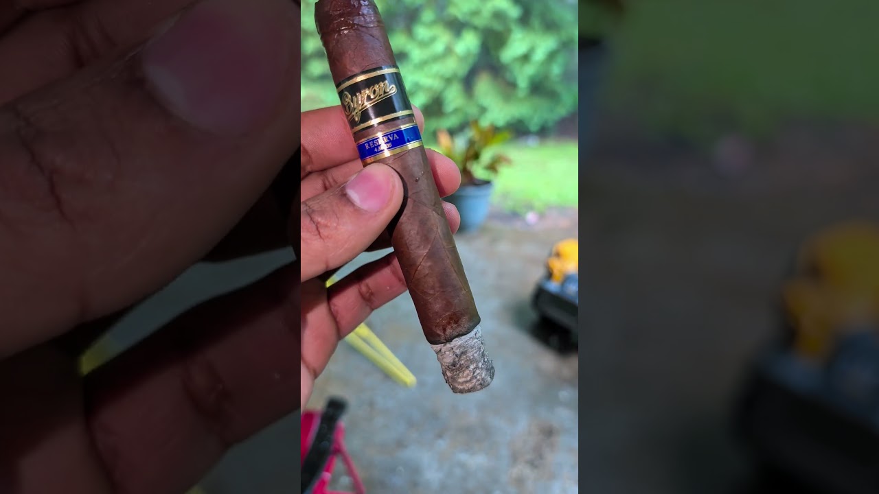 🌧️ ASMR Smoking a Cigar in the Rain Nature, Smoke, Peace 