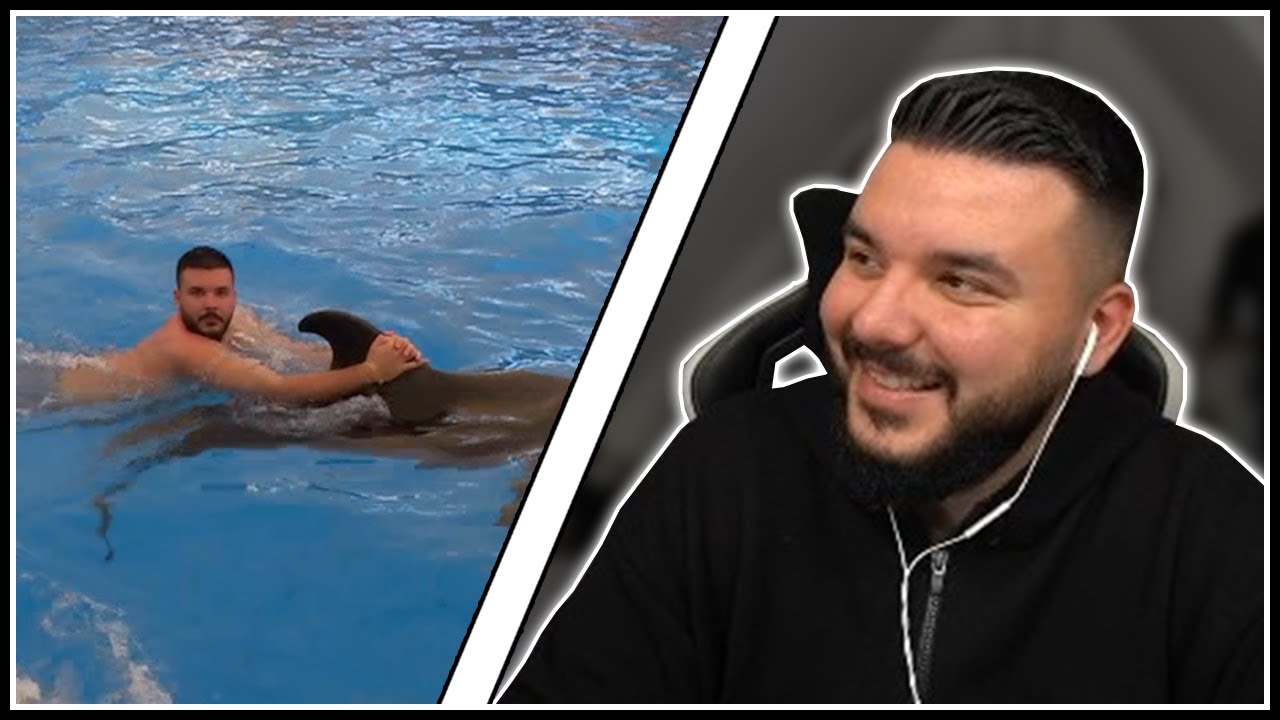 CanBroke REAGIERT auf Delphine sind süß