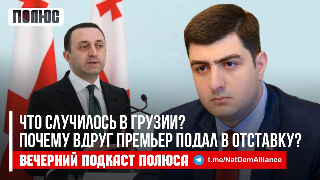 «Что случилось в Грузии? Почему вдруг премьер подал в отставку ...