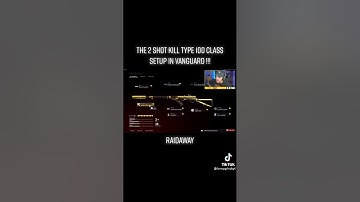 The 2 shot kill Type 100 class setup in Vanguard !!!