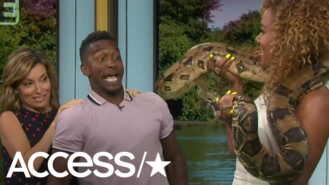 'Monster Croc Wrangler' Matt Wright Scares Everyone With Boa Constrictor