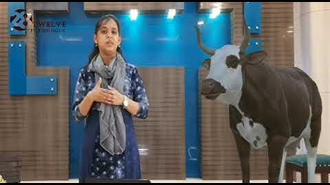 TEACH ONLINE CLASSES WITH AR LEARNING NEW WAY TO LEARN AND ENHANCE THE SKILLS OF KIDS IN THIS WORLD.