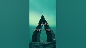 تلاوة قرانيه | سورة البقرة | ايه 209 | بصوت محمد اللحيدان