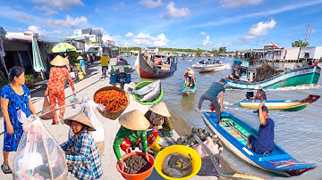 Xã Đất Mũi Cà Mau | Cuộc Sống Nơi Tận Cùng Tổ Quốc