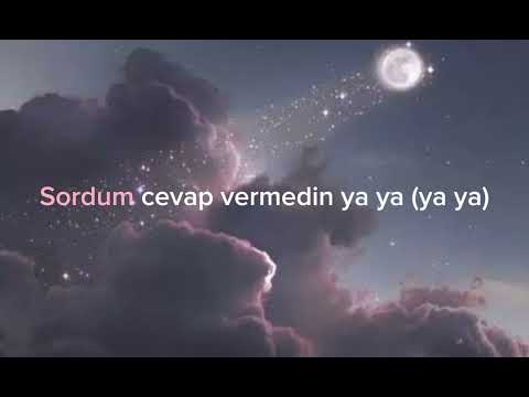 Nazan öncel - Aşkım baksana bana (lycris/speedup)