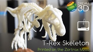 T-Rex Skeleton Printed on the Zortrax M200 | Cool Prints | Dream 3D