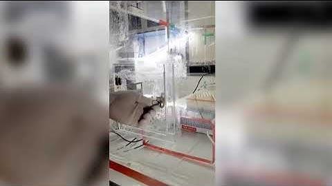 Log 9 reduction in Single Pass. Rig test.