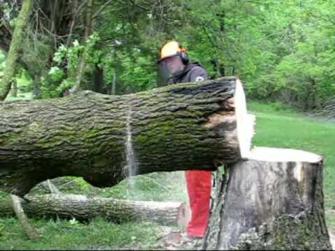 remove bucking mound remove bucking mound