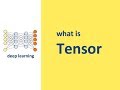 What is Tensor in Deep learning