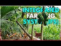 What is integrated farming system ifs  benefits of integrated farming system