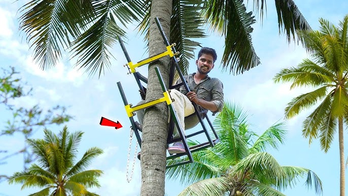 The fastest machine climbing coconut trees  New agriculture technology  2020 