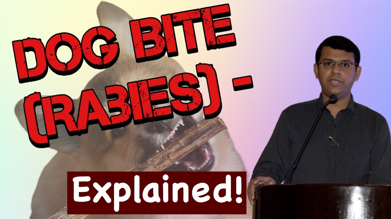 Dog Bite ( Rabies) - Explained | Rabies vaccine and Immunoglobulin