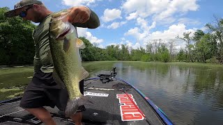 Bass Fishing Lake Taneycomo Top water blow ups (frog fishing)