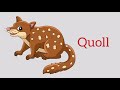 q words ll words that start with letter Q ll words begin with letter q ll q letter words ll