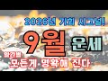 [💎2025년 9월 운세] 일간별 핵심정리-"9월, 모든 것이 결정됩니다"-궤도변화