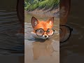 Fox crawls onto a muddy bank  #3danimation #animation #cartoonseries #cuteanimals #cutecartoon