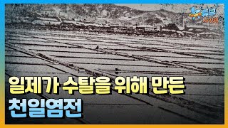 When Sea Salt Was Introduced to Korea | New Tube Photo Studio [Ep. 75] / YTN2