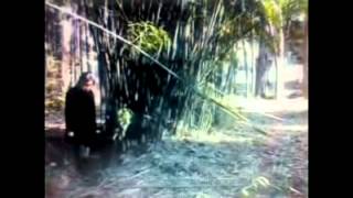 丢失的视频 - WXX - 丢失的视频