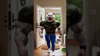 Ai cat voiceovers Part 6