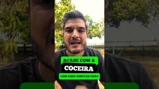 Dermae Em Cachorro Pode Curar Com Orégano Produto Natural Para Tratar Coceira E Feridas Do Cão
