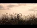 nature heals my soul | 自然が私の心を癒すとき