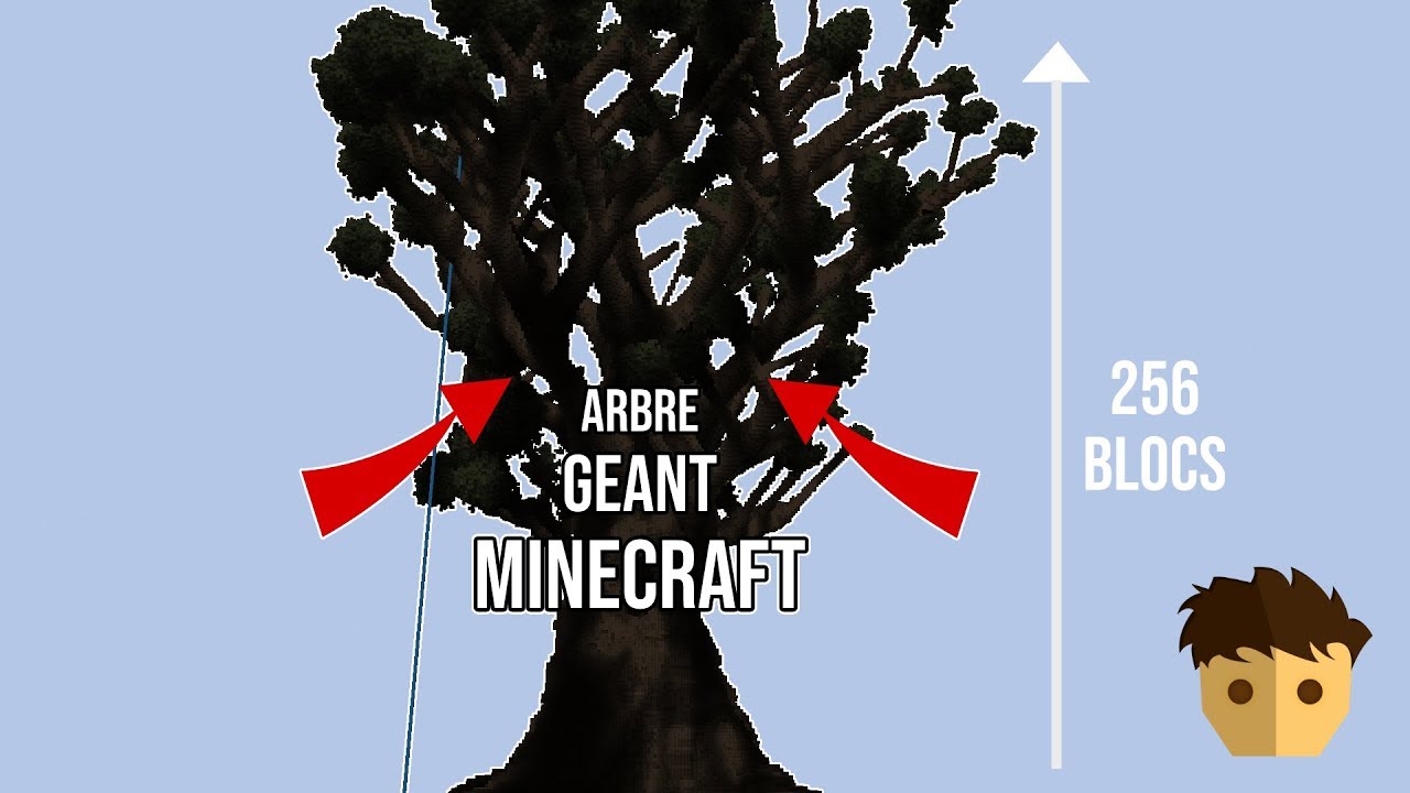 TUTO WORLD EDIT FAIRE UN ARBRE GEANT DANS MINECRAFT ! 256 BLOCS - YouTube