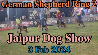 Jaipur Dog Show | German Shepherds | Virath Shepherds | #germanshepherd #dog #gsd #puppy #trending