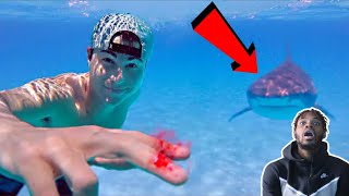 Testing if sharks can smell a drop of blood