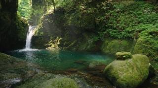 Walking Kamaga Falls & Taki Chaya | A Refreshing Summer Stream Walk in Gujo, Gifu