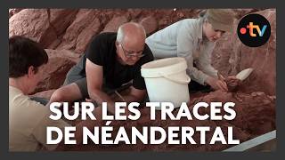 Sur Les Traces De Néandertal Des Archéologues Fouillent Une Ville Alsacienne Depuis Quinze Ans