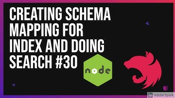 Creating Schema Mapping for Index and Doing Search #30