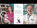 Radio Pet Lady Interviews Jerry Nepom, MD, PhD (Cat Chat)