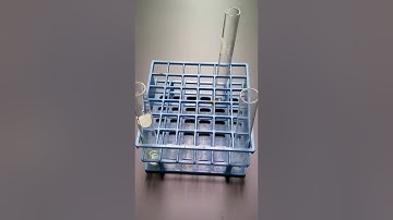 Single and Double Displacement Rxns Lab Video