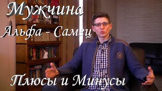 АЛЬФА САМЕЦ как Сценарий поведения МУЖЧИНЫ. Плюсы и Минусы. | МУЖСКОЙ ЦЕНТР