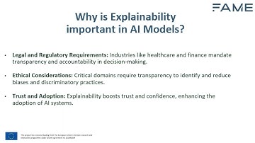 1.1 Overview of explainable artificial intelligence